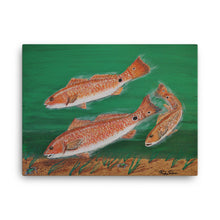 "Redfish Trio" by Ricky Trione  Printed on Gallery Wrapped Canvas